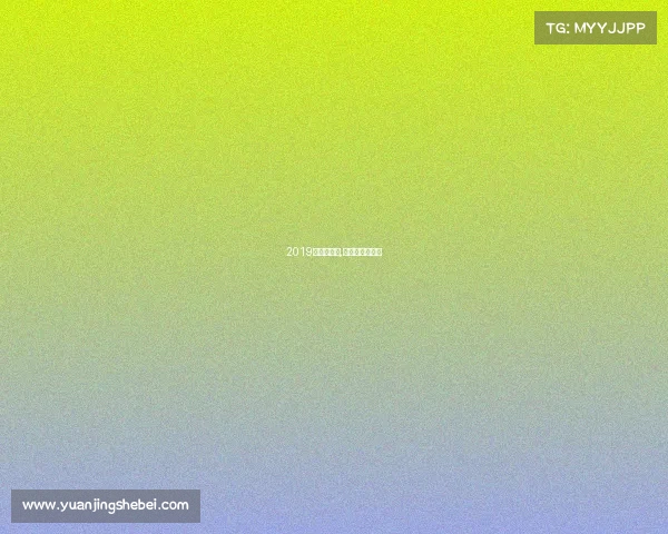 2019年毅腾赛事,浙江毅腾俱乐部