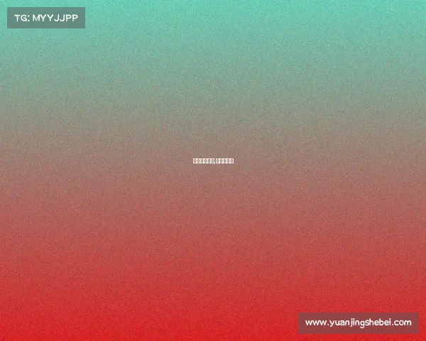 女排赛事德国,女排德国队